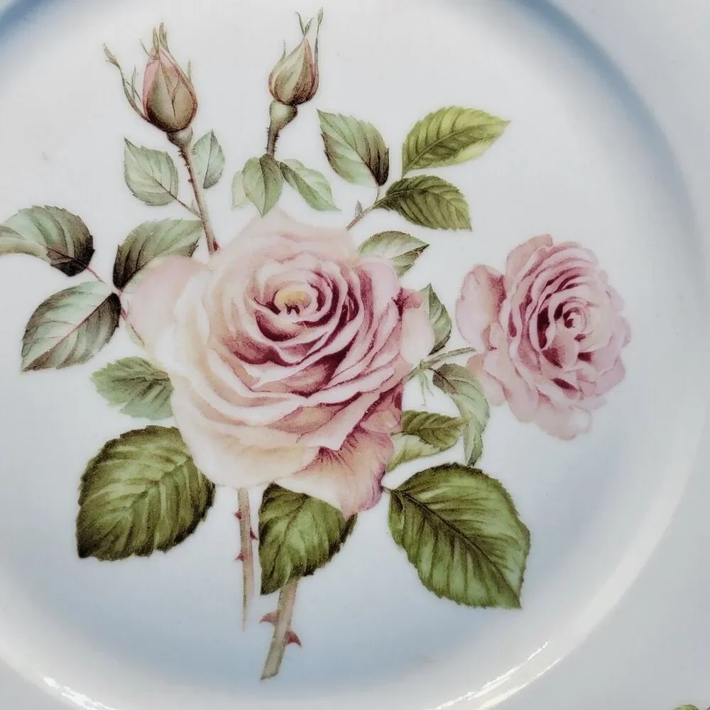 Portmeirion Studio Pink Rose 10 1/2